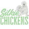 Seidenhuhn Silkie Chicken