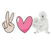 Seidenhuhn Silkie Chicken