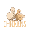 Seidenhuhn Silkie Chicken