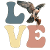 Falconry Falconer Hawking