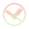 Oiseaux volants