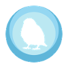 Oiseau Perruche Volant