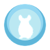 Chinchilla Mäuschen Mäuschen