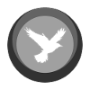 Animal Wings Wings