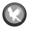 Cacatoès d’oiseaux Cacatoès