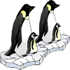 Penguins