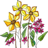 Fleur
