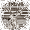 Hirsch