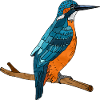 Bunter Vogel