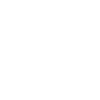 Gauchiste