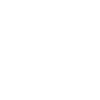 Icône de l’année 2024