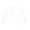 Vizsla