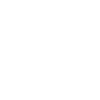 Vizsla