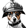 Jack Russell terrier