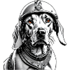 Basset Hound