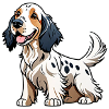 Setter anglais