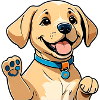 Chiot Labrador