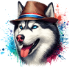Husky-Kopf mit Hut