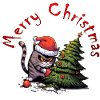 angry christmas cat