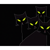 Black cats in black night