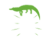 Gator Boy