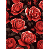 Rose Pattern