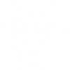 Funny White Dog