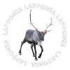 LAPPONIA