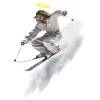 Ski-sus