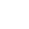 Icône de l’année 2024