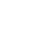 Historien, Antiquaire, Historiographe