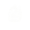 Silhouette Dragon Japan