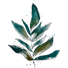 Nature, Leaf, Leaves - Green
