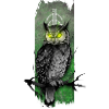 Enchanting Nocturne: Owl's Emerald Gaze