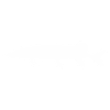 Pike with spoon blinker