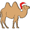 kamel mit weihnachtsmütze