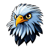 Eagle Bird Drawing