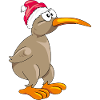 Kiwi bird in Christmas hat