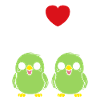 Oiseaux perruches humour petite perruche