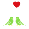 Oiseaux perruches humour petite perruche