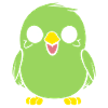 Cute little parakeet
