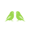 Oiseaux perruches humour petite perruche