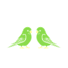 Oiseaux perruches humour petite perruche
