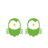 Oiseaux perruches humour petite perruche
