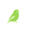 Oiseaux perruches humour petite perruche