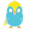 Cute little parakeet