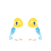 Oiseaux perruches humour petite perruche