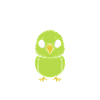 Oiseaux perruches humour petite perruche