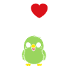 Oiseaux perruches humour petite perruche