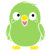 Cute little parakeet